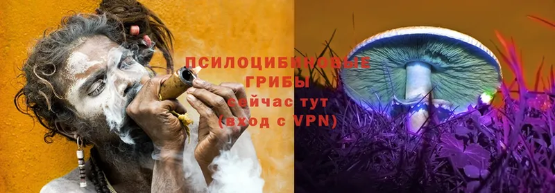 мега tor  что такое   Тотьма  Псилоцибиновые грибы GOLDEN TEACHER 